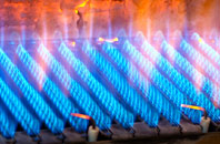 Woolsington gas fired boilers